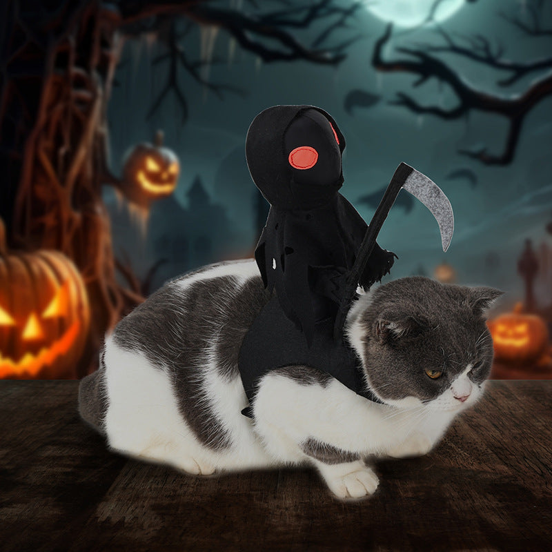 Pet Knight Harvest Funny Cute Riding Outfit