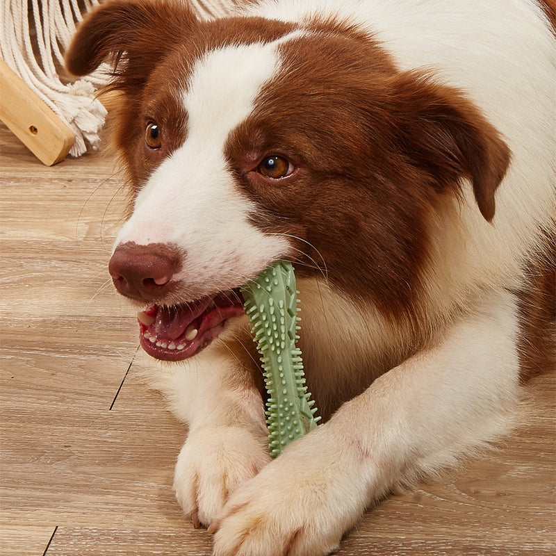 Brinquedos para mastigar para limpeza de dentes de cachorro