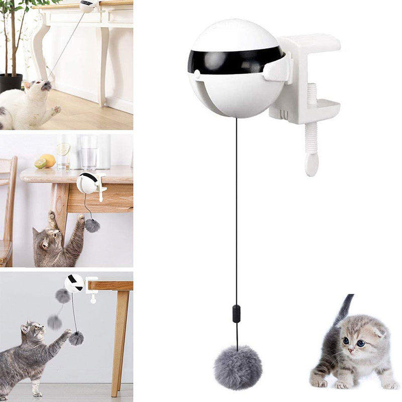 Elektrisches, interaktives und automatisch anhebendes Katzenspielzeug mit Ball
