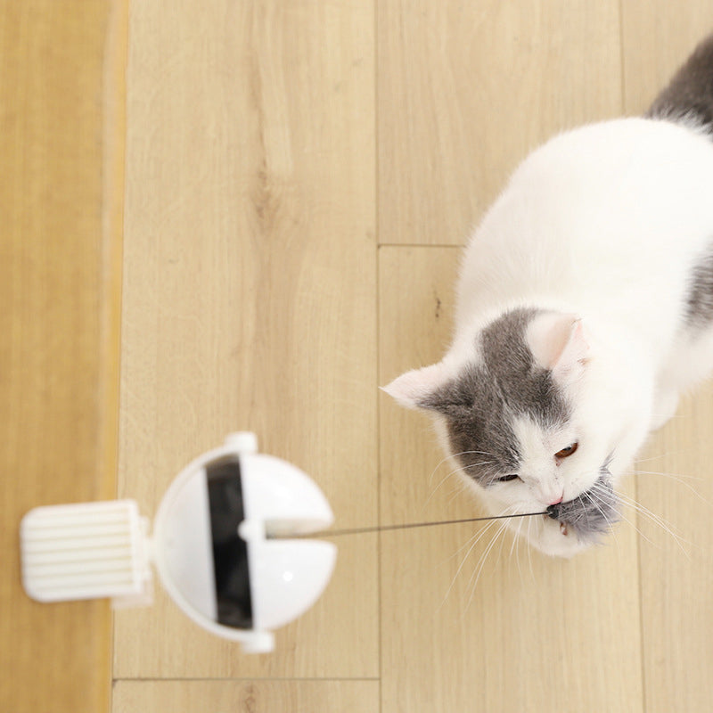 Elektrisches, interaktives und automatisch anhebendes Katzenspielzeug mit Ball