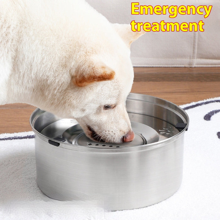 Dogs And Cats Supplies Drinking Water Large Capacity Bowl