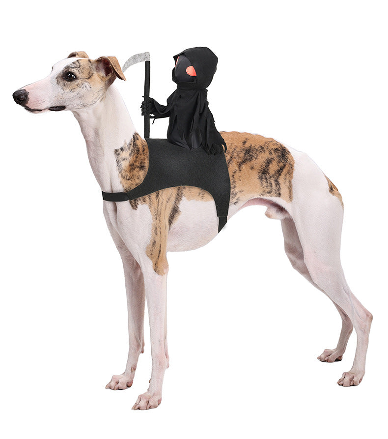 Pet Knight Harvest Funny Cute Riding Outfit