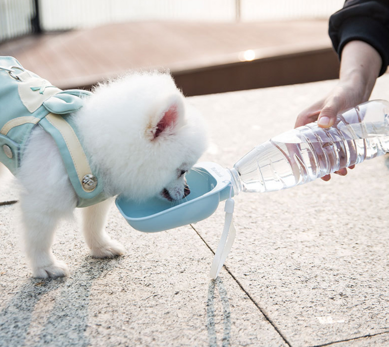 Teddy Portable Drinking Water Bottle