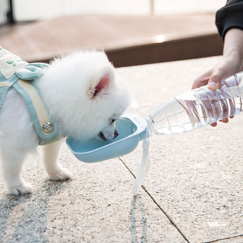 Teddy Portable Drinking Water Bottle