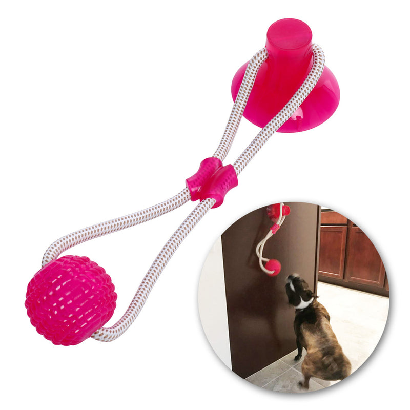 Brinquedo de molares com ventosa de borracha para cães