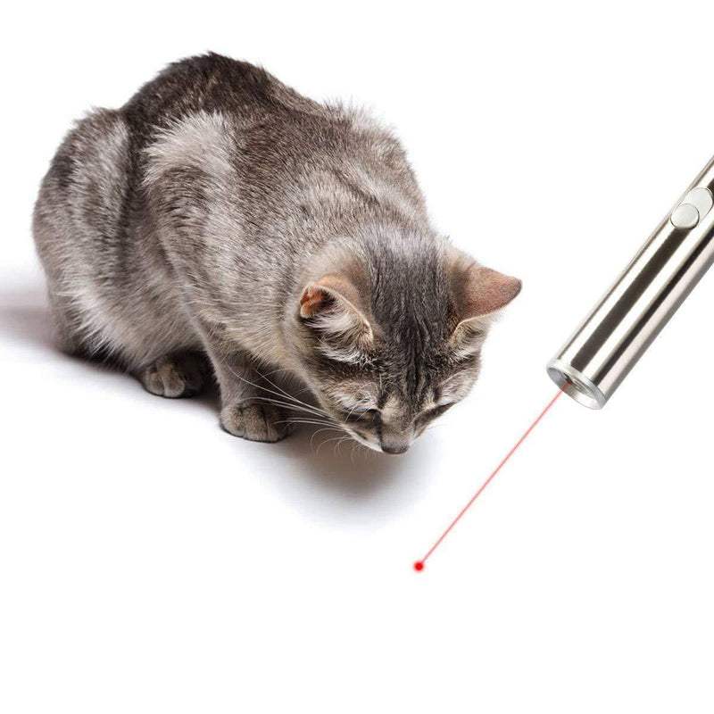 Apontador laser para gatos