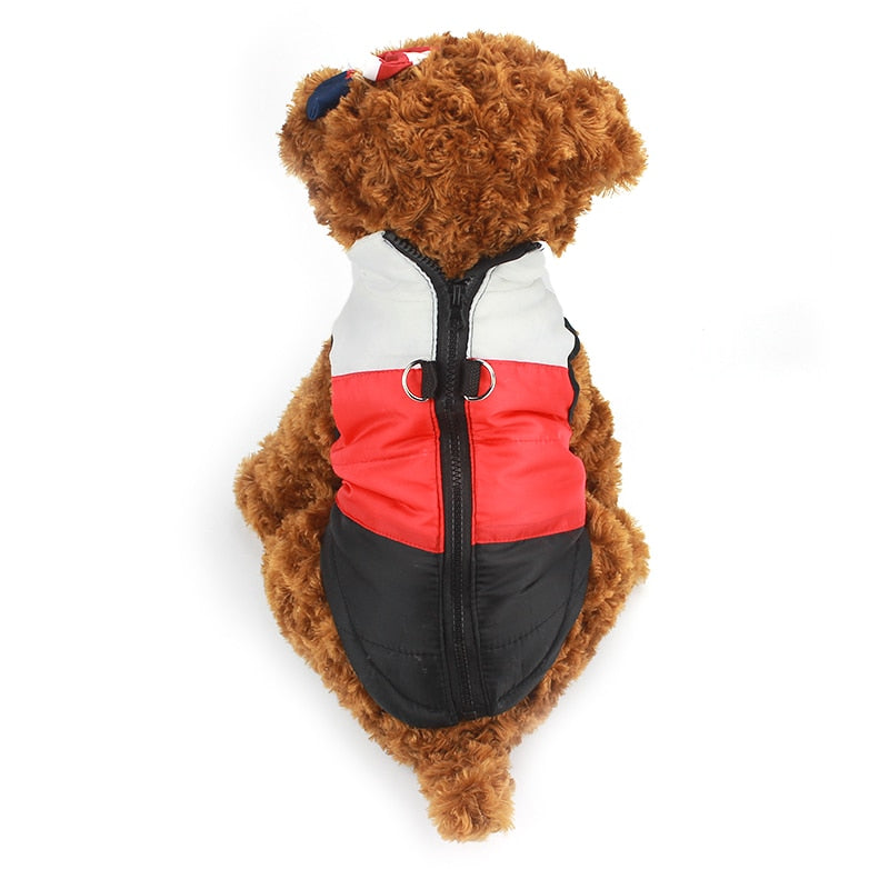 Pet clothing autumn and winter pet puppy jacket vest traction buckle