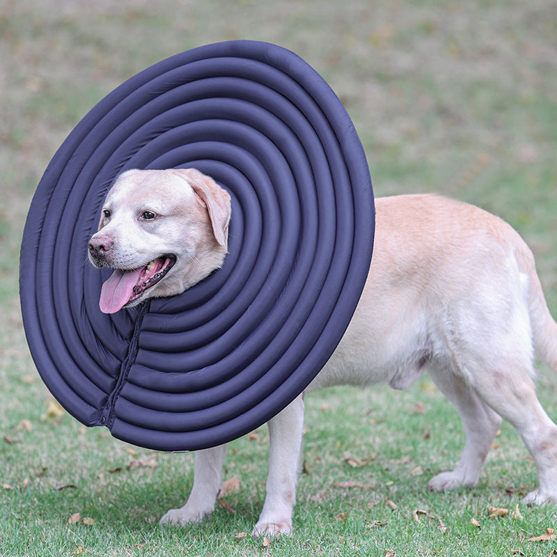 Pet Creative Summer Swimming Anti-licking And Biting Protection Ring