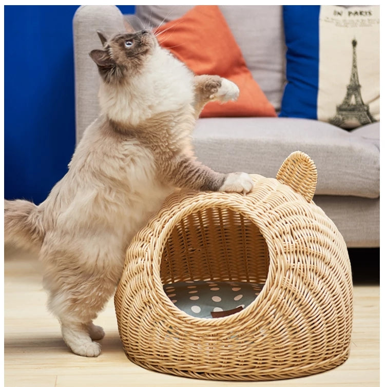 Ninho de gato em rattan tecido para todas as estações, removível e lavável