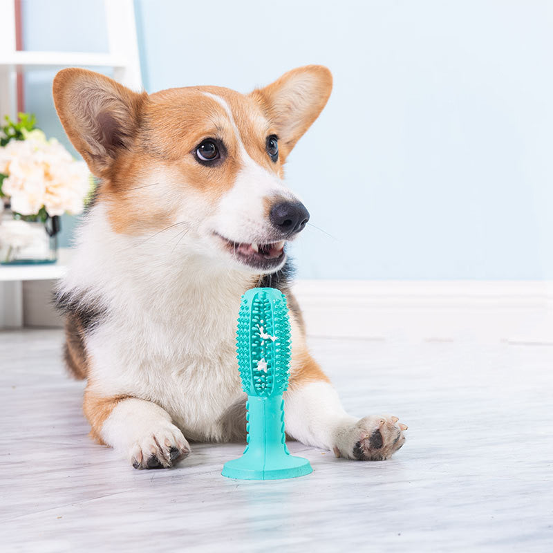 A nova escova de dentes para cães, vara para limpeza de dentes molares de cães, dispositivo para vazamento de alimentos, brinquedo resistente a mordidas para cães