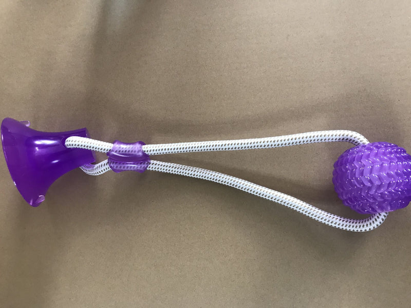 Brinquedo de molares com ventosa de borracha para cães