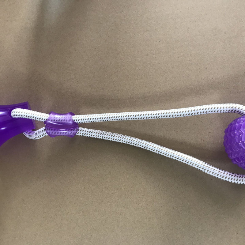 Brinquedo de molares com ventosa de borracha para cães
