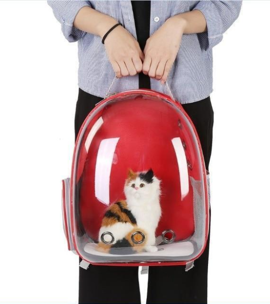 Saco de gato totalmente transparente para animais de estimação