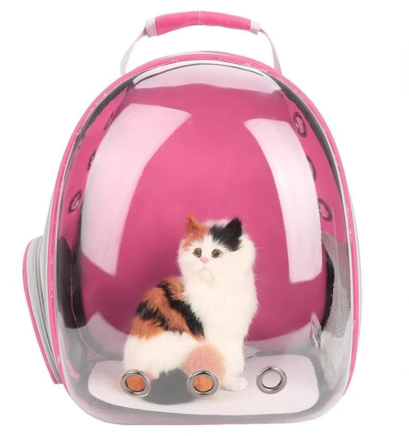 Saco de gato totalmente transparente para animais de estimação