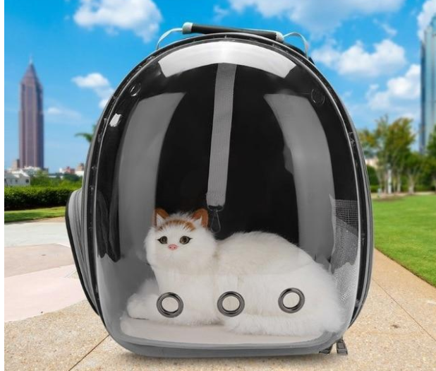 Saco de gato totalmente transparente para animais de estimação