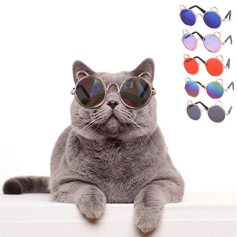 Gato com Óculos de Sol Fofos Cão com Óculos de Sol de Peluche