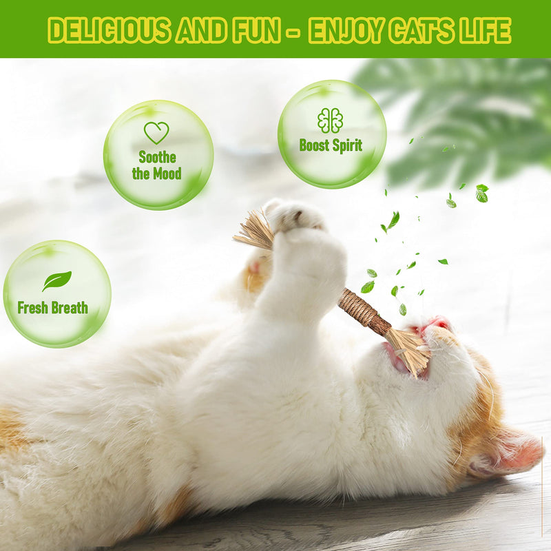 Varas de Silvervine Brinquedos de Roer para Gatos de Interior Cuidados Dentários Limpeza de Dentes, Brinquedos de Roer Naturais para Gatinhos e Gatos para a Saúde, Vara de Roer para Gatos Adequada para Todas as Raças de Gatos que Roem de Forma Agressiva