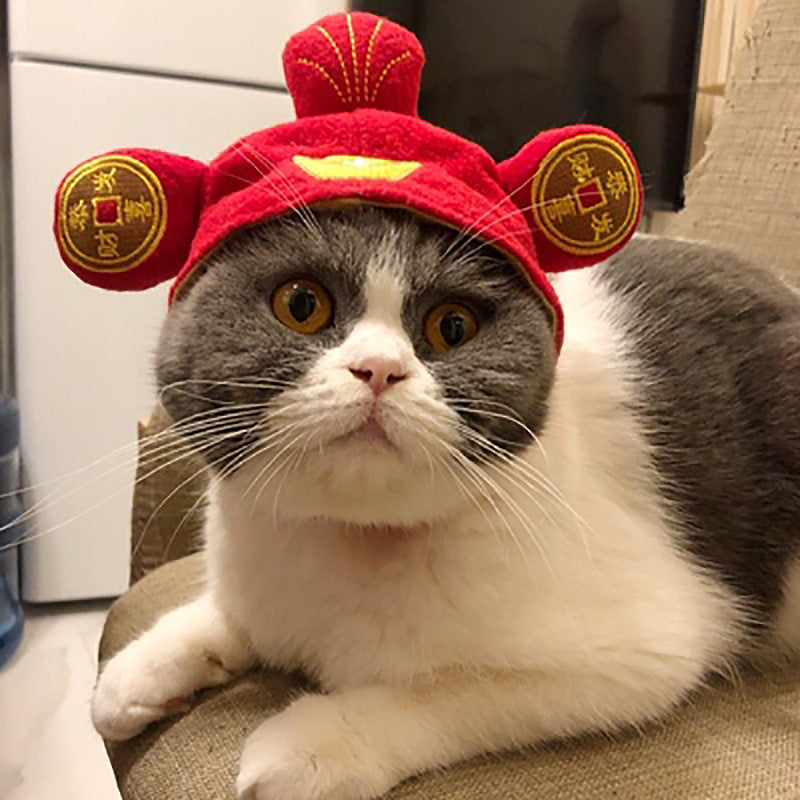 Divertido disfarce de cão e gato, gorro quente, adereço para fotos, acessório de cabeça