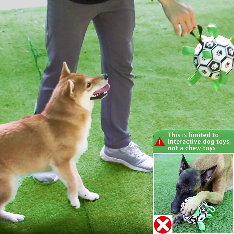 Brinquedo interativo de futebol para cães, bola de futebol inflada, brinquedo de treinamento para cães, borda externa, bolas de collie para cães grandes, suprimentos para animais de estimação