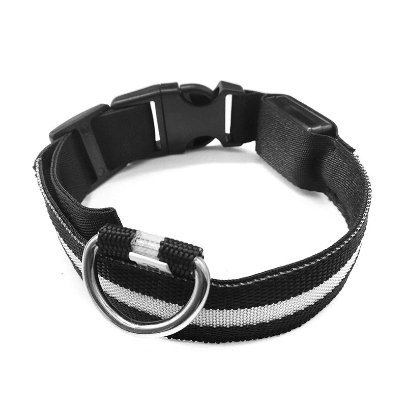 Leuchtendes Anti-Verlust-Hundemarken-Halsband