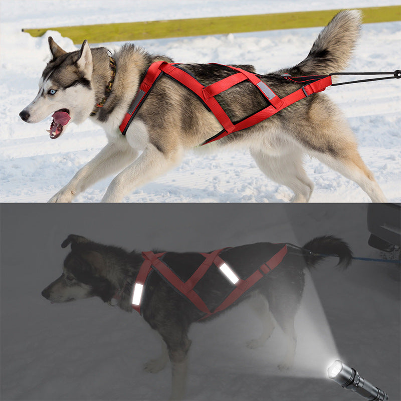 Colete para cão grande, trela de mão para cão de trenó do Alasca