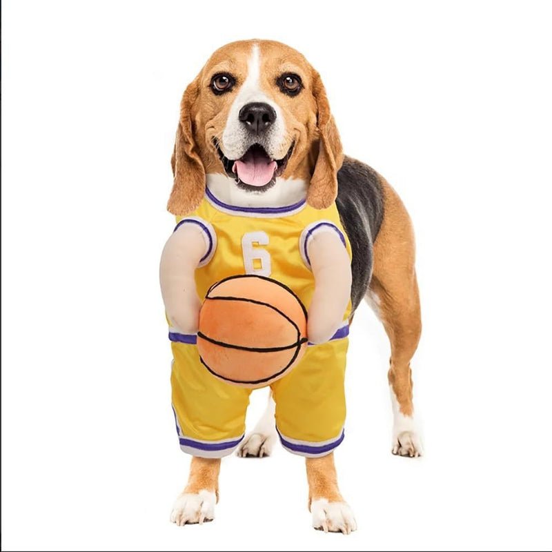 Fato criativo de basquetebol para cão com bola