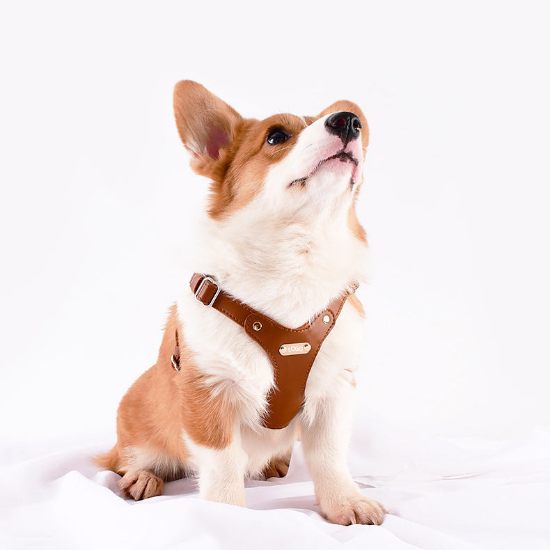 Peitoral em Pele para Cão