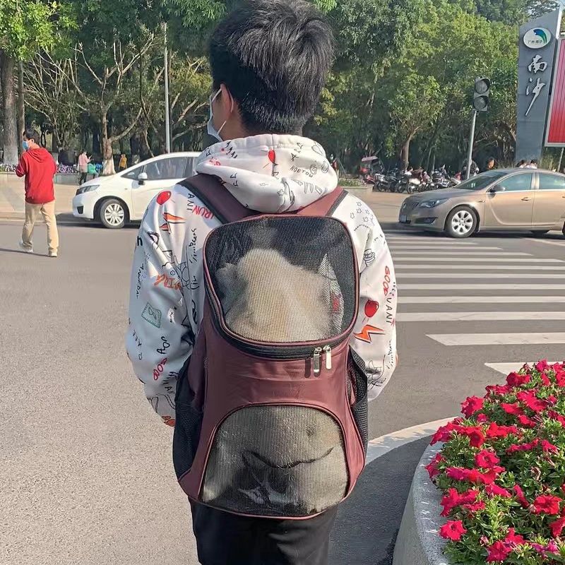 Atmungsaktiver Hunde-Tragerucksack, tragbare Haustiertasche für kleine Hunde, Chihuahua, Schnauzer, Mops, Outdoor-Zubehör für Haustiere