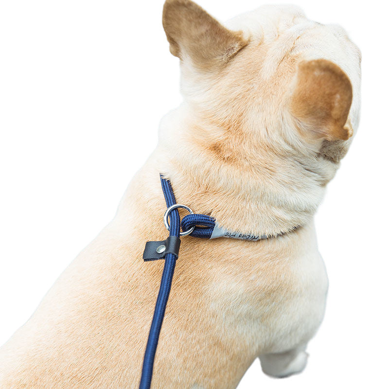 Hundetrainingsleine zum Führen