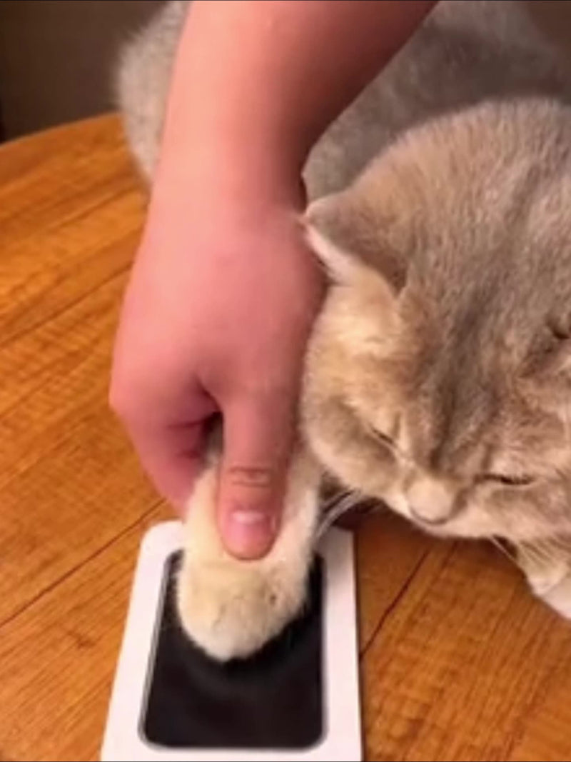 Álbum de fotos comemorativo para crianças e animais de estimação, cartão postal para esfregar impressões digitais, suprimentos para animais de estimação faça você mesmo