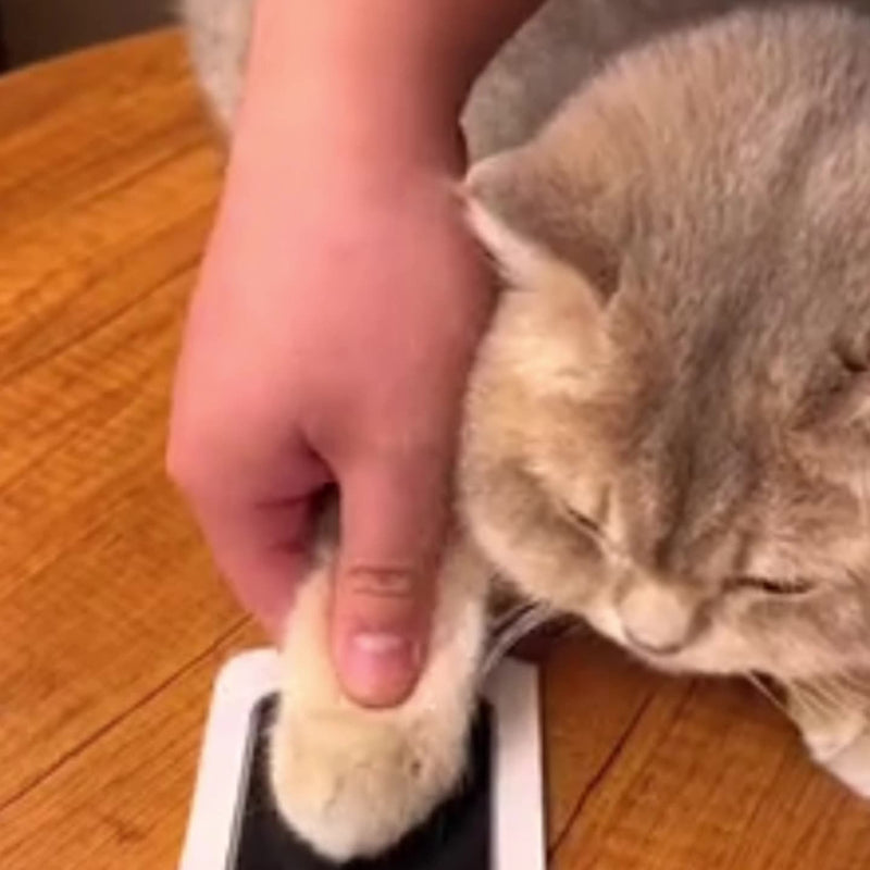 Álbum de fotos comemorativo para crianças e animais de estimação, cartão postal para esfregar impressões digitais, suprimentos para animais de estimação faça você mesmo