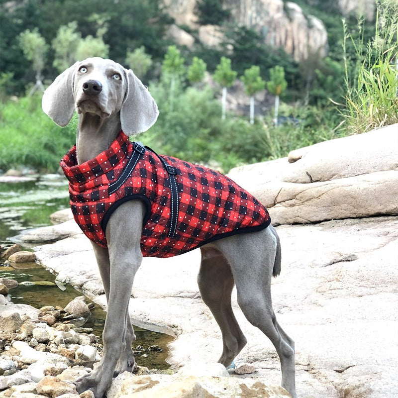 Weihnachtliche wasserdichte reflektierende Hundegeschirr-Weste, warm für Herbst und Winter