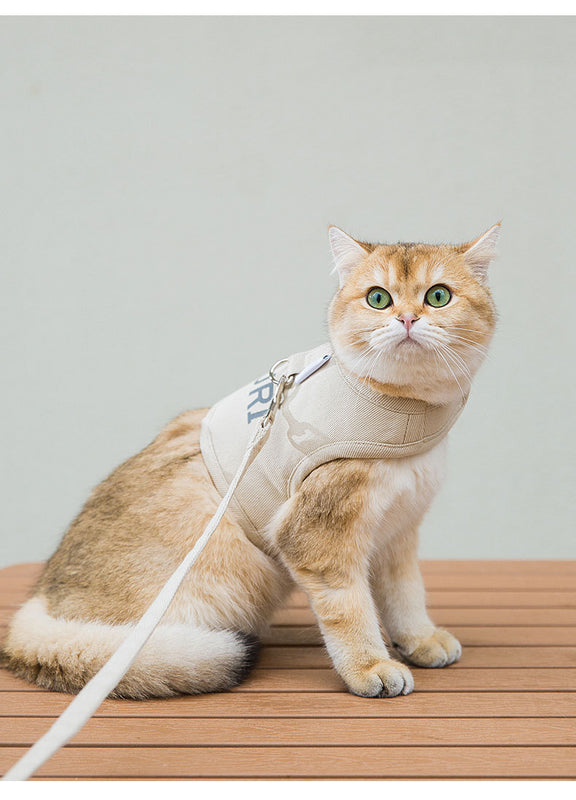 Neues Hundegeschirr- und Leinen-Set aus Webstoff, Katzen- und Welpengeschirr, Leinen für kleine bis mittelgroße Hunde, Haustierbekleidung mit Zugvorrichtung