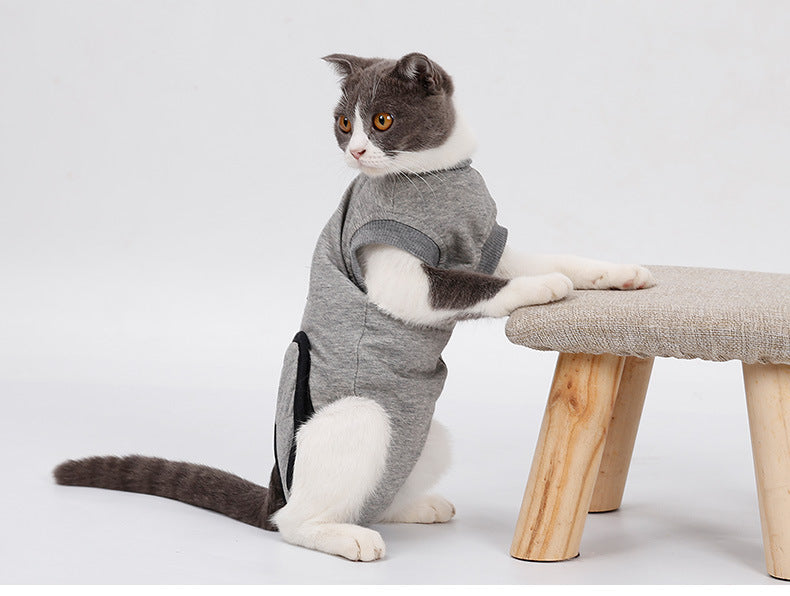 Fato de recuperação pós-cirúrgica para gatos, vestuário de proteção para feridas e esterilização, artigos e acessórios para animais de estimação