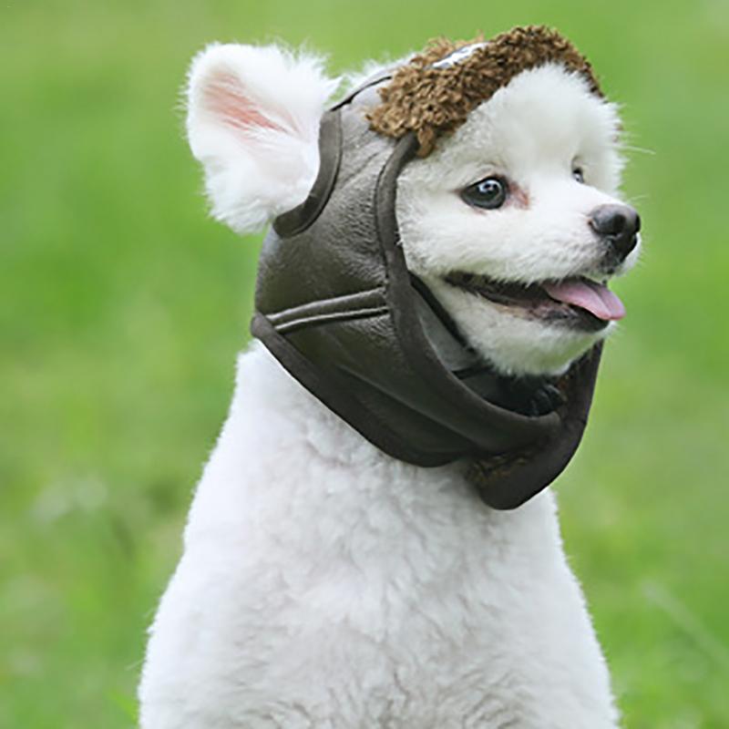 Fliegermütze für kleine und mittelgroße Hunde