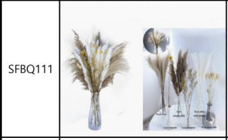 Plant Dried Flowers And Reed Decoration