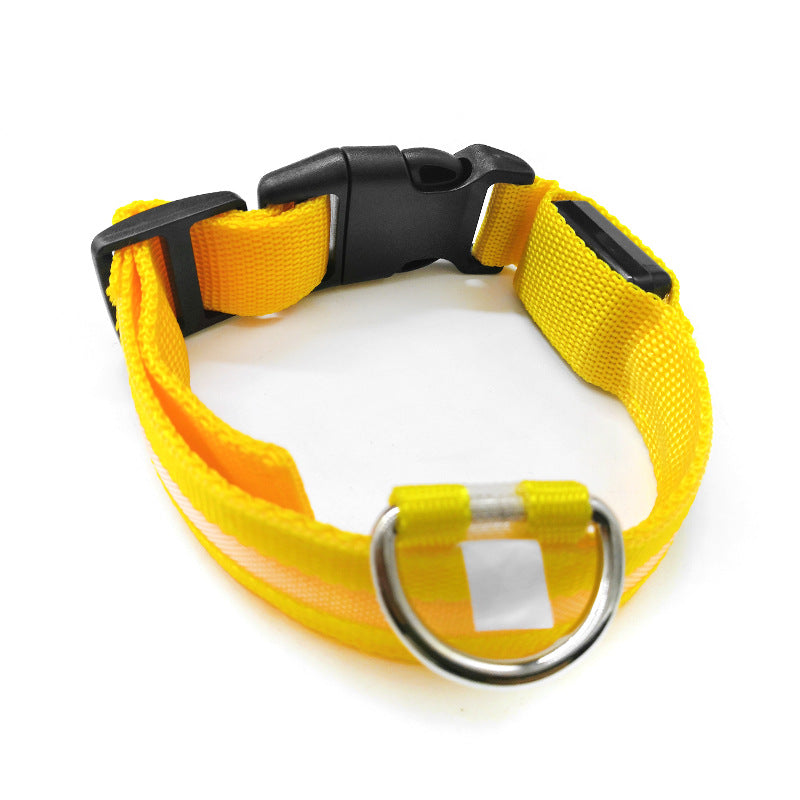 Leuchtendes Anti-Verlust-Hundemarken-Halsband