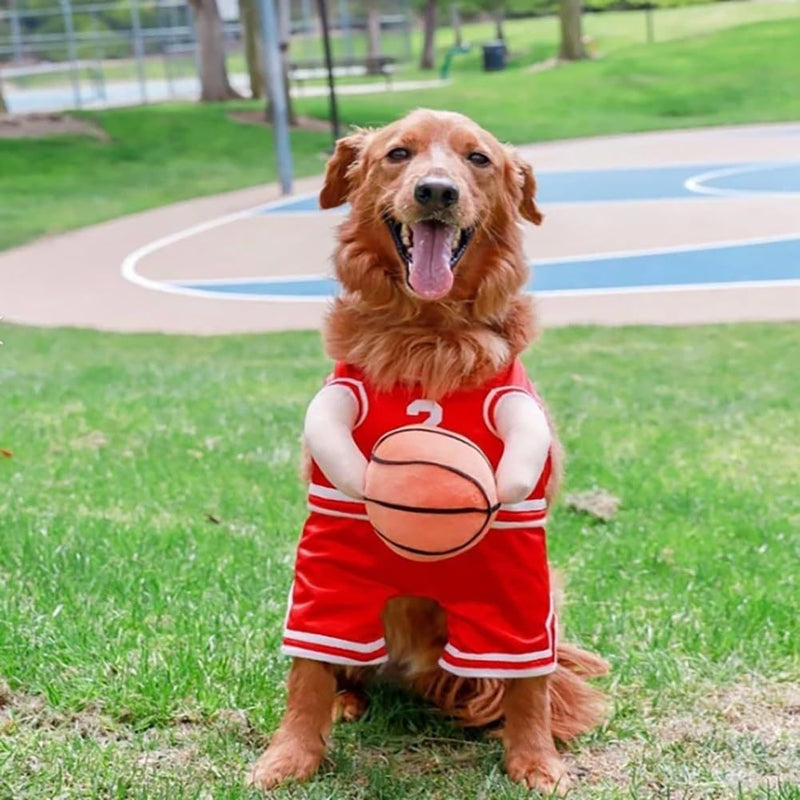 Fato criativo de basquetebol para cão com bola