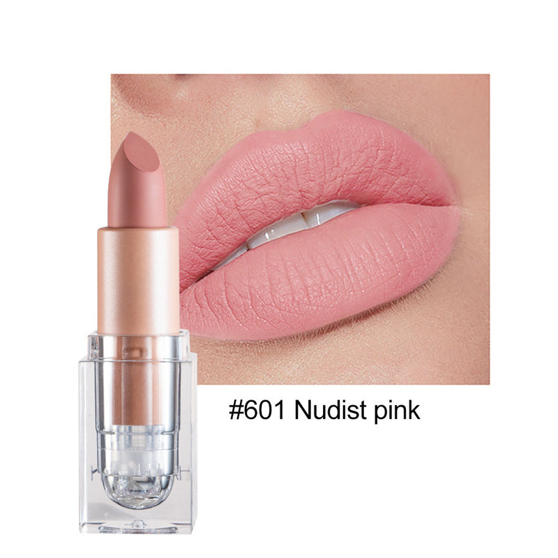 Kleiner Eiswürfel Matte 12-Farben-Lippenstift