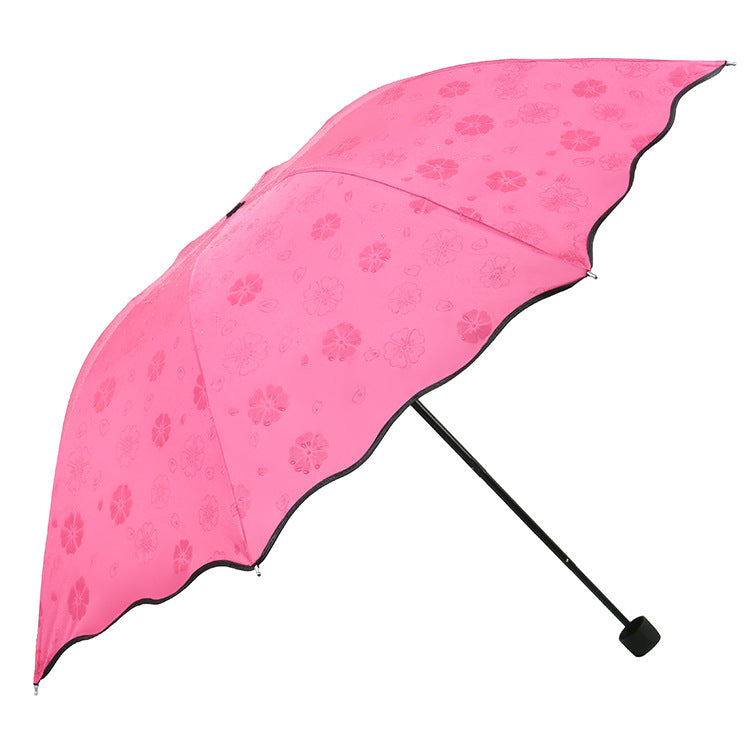 Folha de lótus floresce ao entrar em contacto com a água
