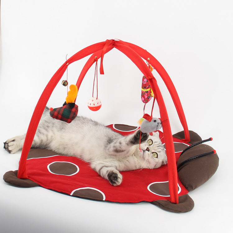 Gato brincando de cama