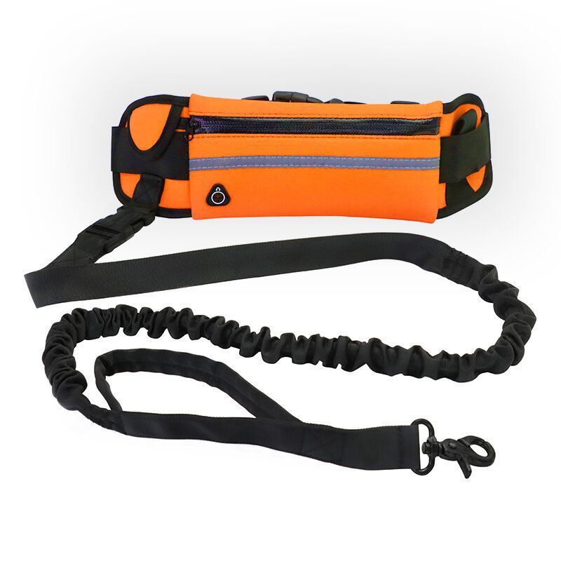 Trela de Bolsa para Passeio de Cão
