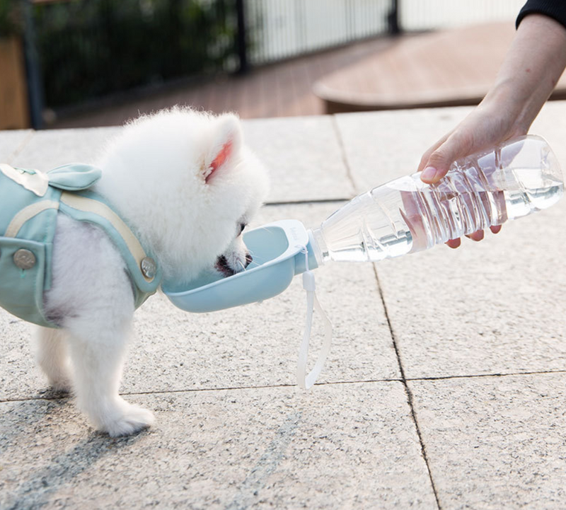 Teddy Portable Drinking Water Bottle