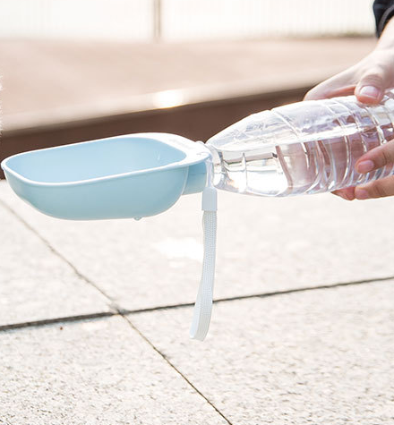 Teddy Portable Drinking Water Bottle