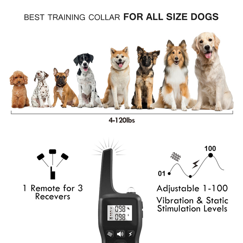 Ferngesteuertes Hundetrainingsgerät