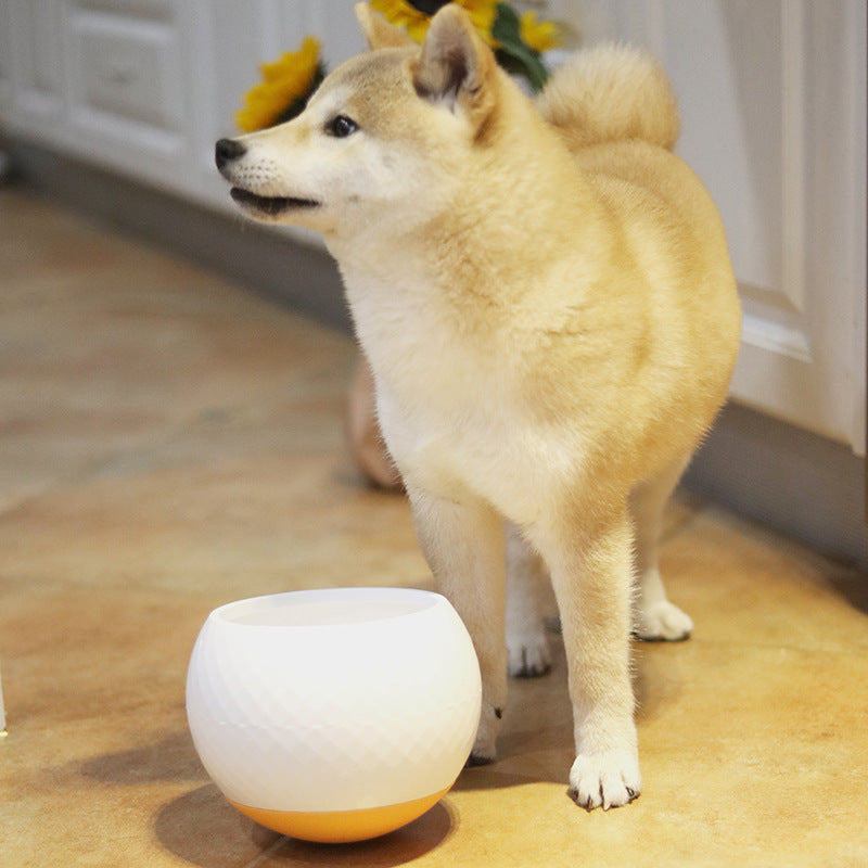 Tigela anti-cachorro para cães