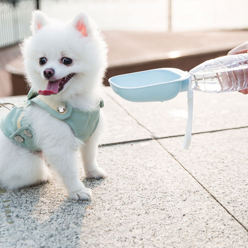 Teddy Portable Drinking Water Bottle