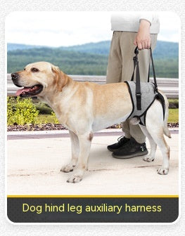 Shell Jacket Four-leg All-inclusive Dog Clothes Waterproof Windproof