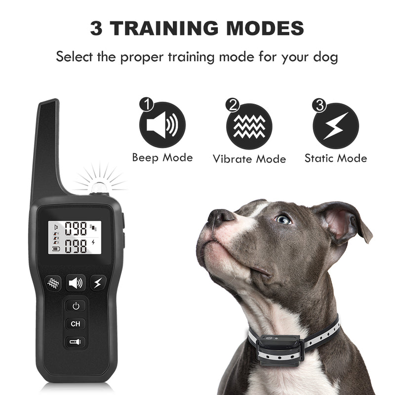 Ferngesteuertes Hundetrainingsgerät