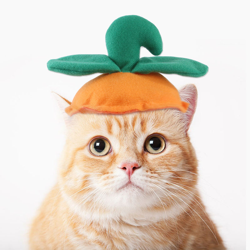 Divertido disfarce de cão e gato, gorro quente, adereço para fotos, acessório de cabeça